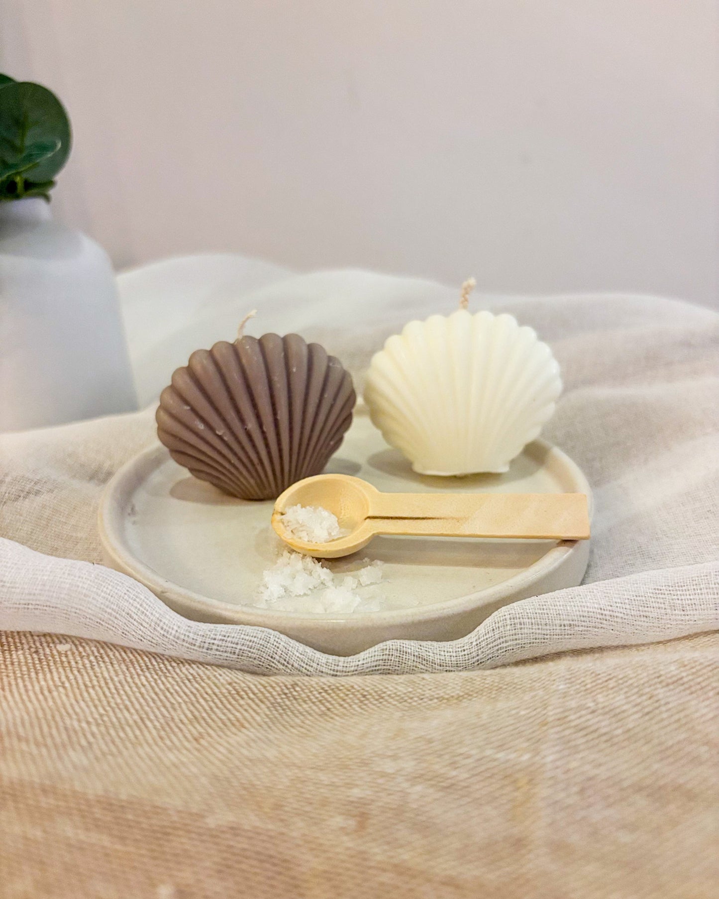 Two shell-shaped candles on a plate with a wooden spoon and sea salt on a textured surface.