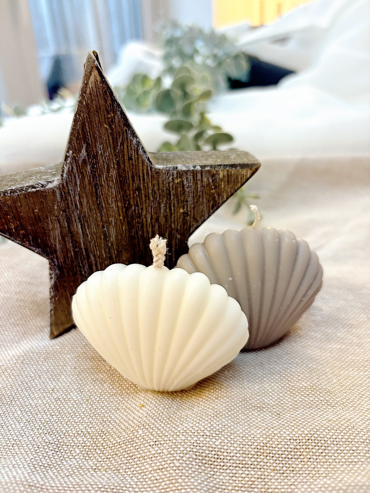 Little welsh sea-shells